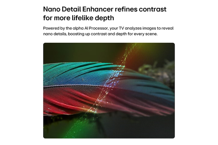 LG NANO 4K UHD AI nu70 with Nano Detail Enhancer shows a feather image, powered by the alpha AI Processor that detects fine textures to enhance contrast and depth and deliver a clearer, more three-dimensional 4K picture.